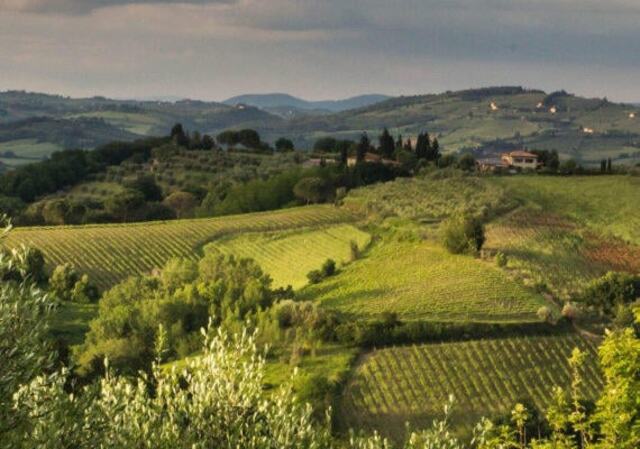Tuscany Truffle Hunt: A Culinary Adventure, Florence