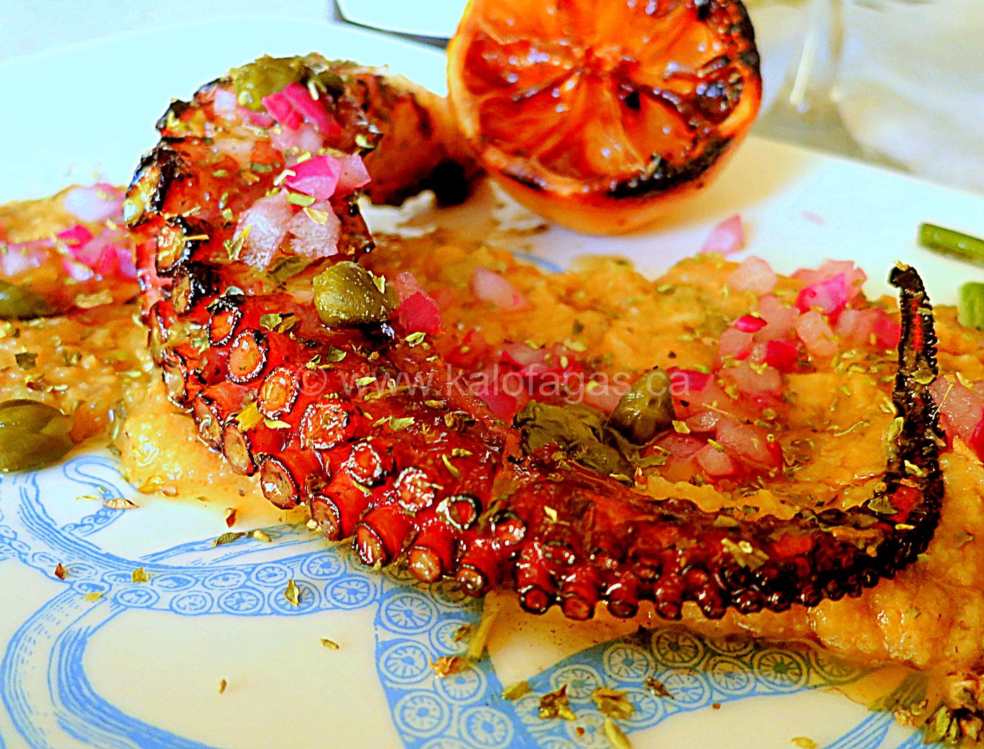 Grilled octopus with Santorini fava from Kalofagas