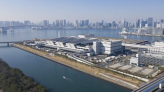Toyosu Market, Tokyo