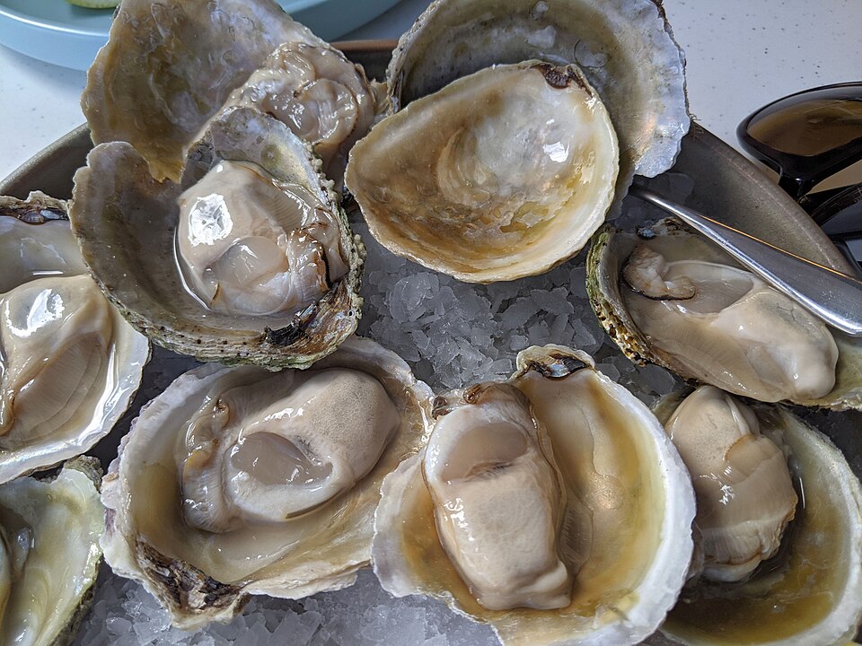 Any month in Auckland: Bluff oysters