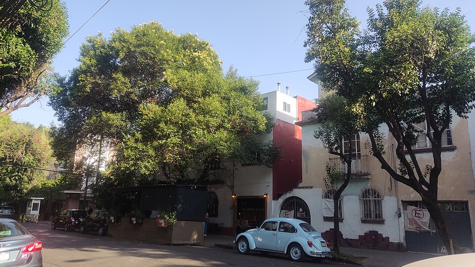 Esquina Común, Mexico City