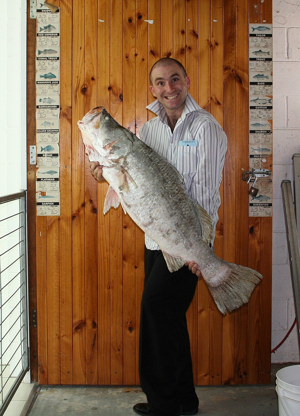 Any month in Sydney: Barramundi