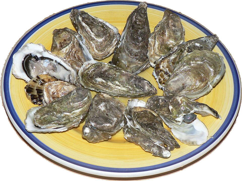 Oysters, Boston
