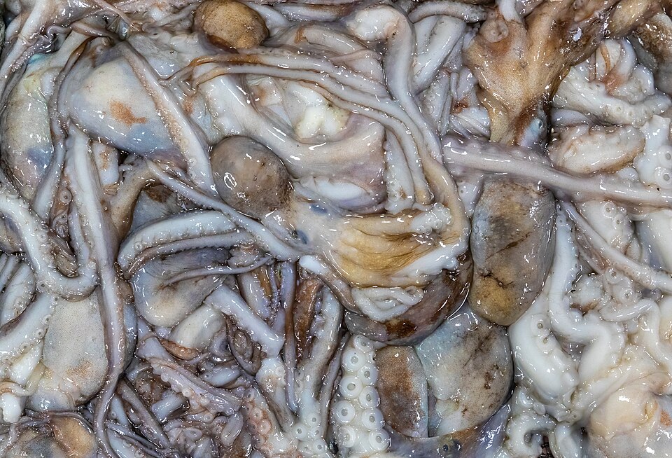 Noryangjin Fisheries Market, Seoul